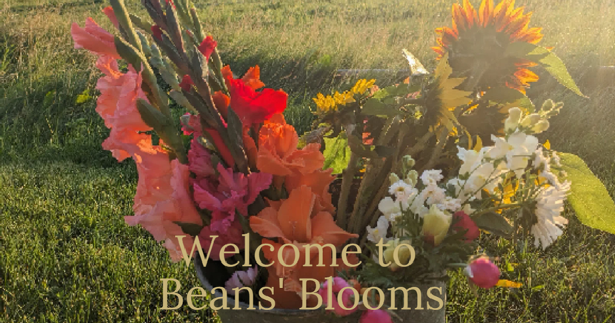 Beans and Blooms